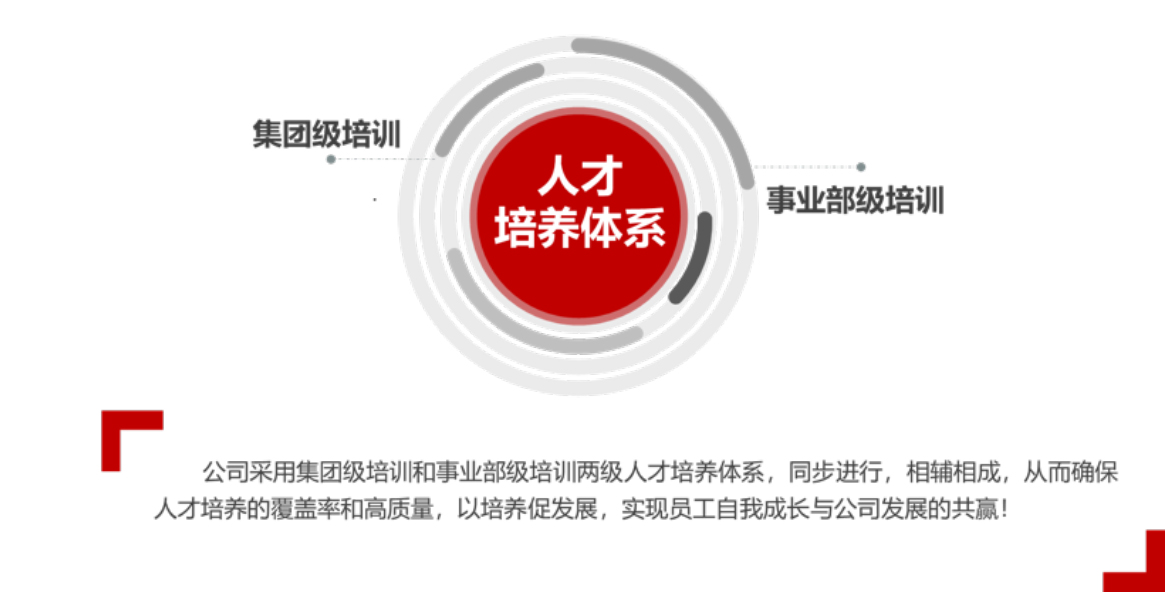 级人才培养体系